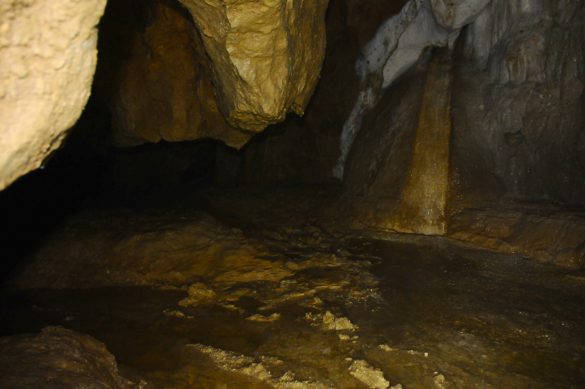 Essai photo en attendant que ça s'équipe - 23 juillet