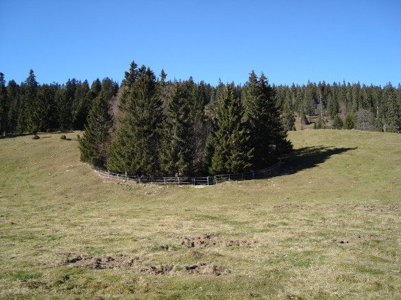 Doline d'entrée de la glacière de St-Lives