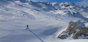 Chasse aux trous souffleurs au Lapi di Bou