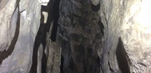 Grande Baume du Risoux - Une suite a été trouvée