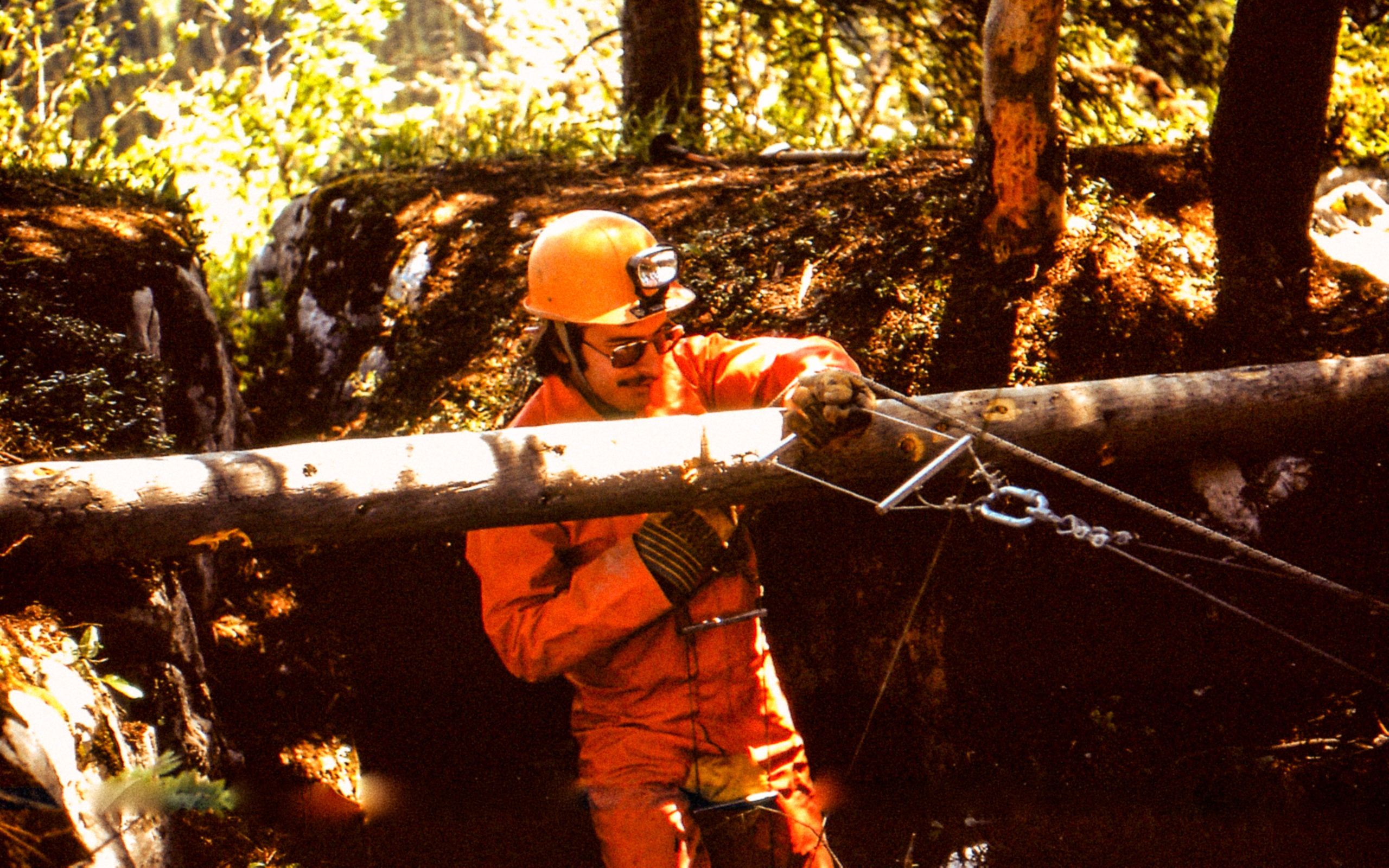 Permalien vers:Historique