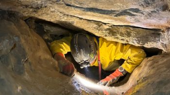 Permalien vers:Informations